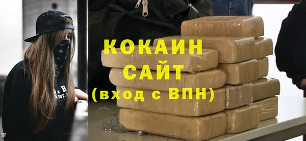 твердый Бородино