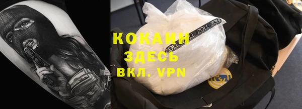 твердый Бородино