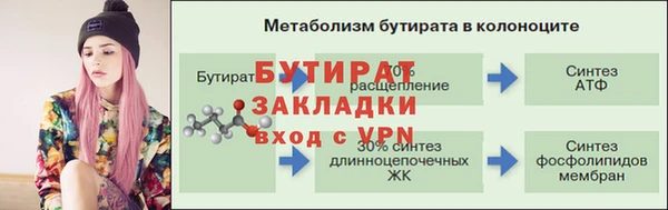 твердый Бородино