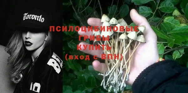 альфа пвп Бугульма