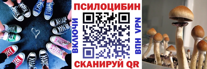 магазин  наркотиков  Новочеркасск  Галлюциногенные грибы MAGIC MUSHROOMS 