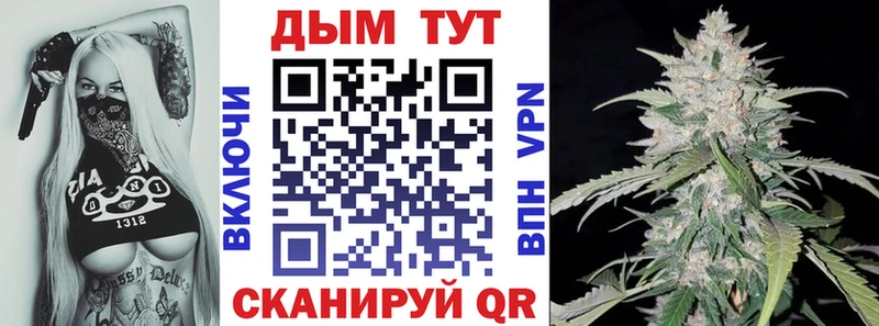 Шишки марихуана семена  продажа наркотиков  Новочеркасск 